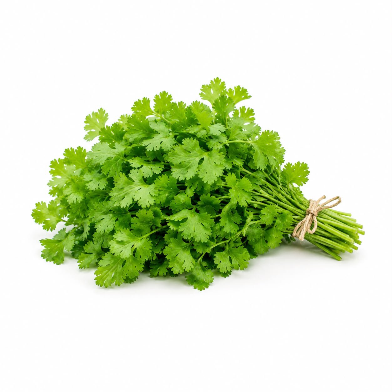 Coriander Leaves (Hara Dhaniya)